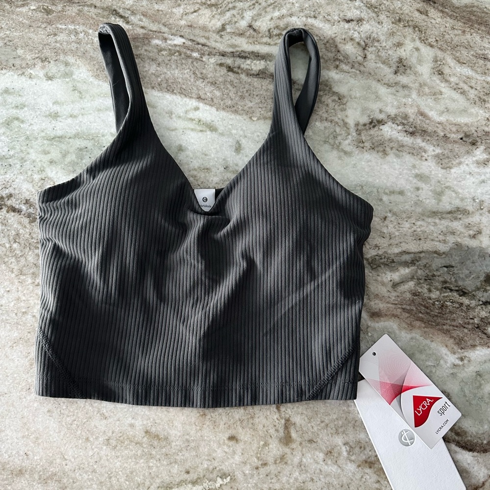 Dark Gray Ribbed Crop Top